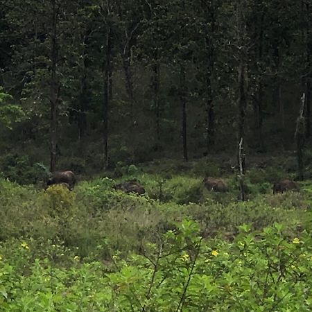 Lotus Jewel Forest Camping 苏丹巴特利 外观 照片