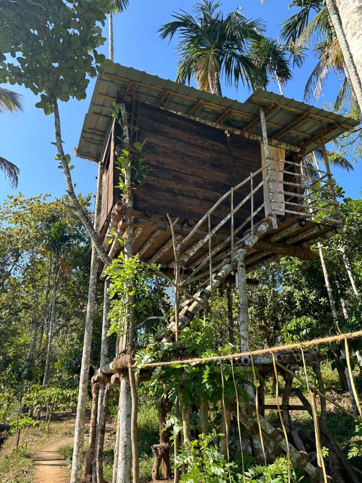 Lotus Jewel Forest Camping 苏丹巴特利 外观 照片