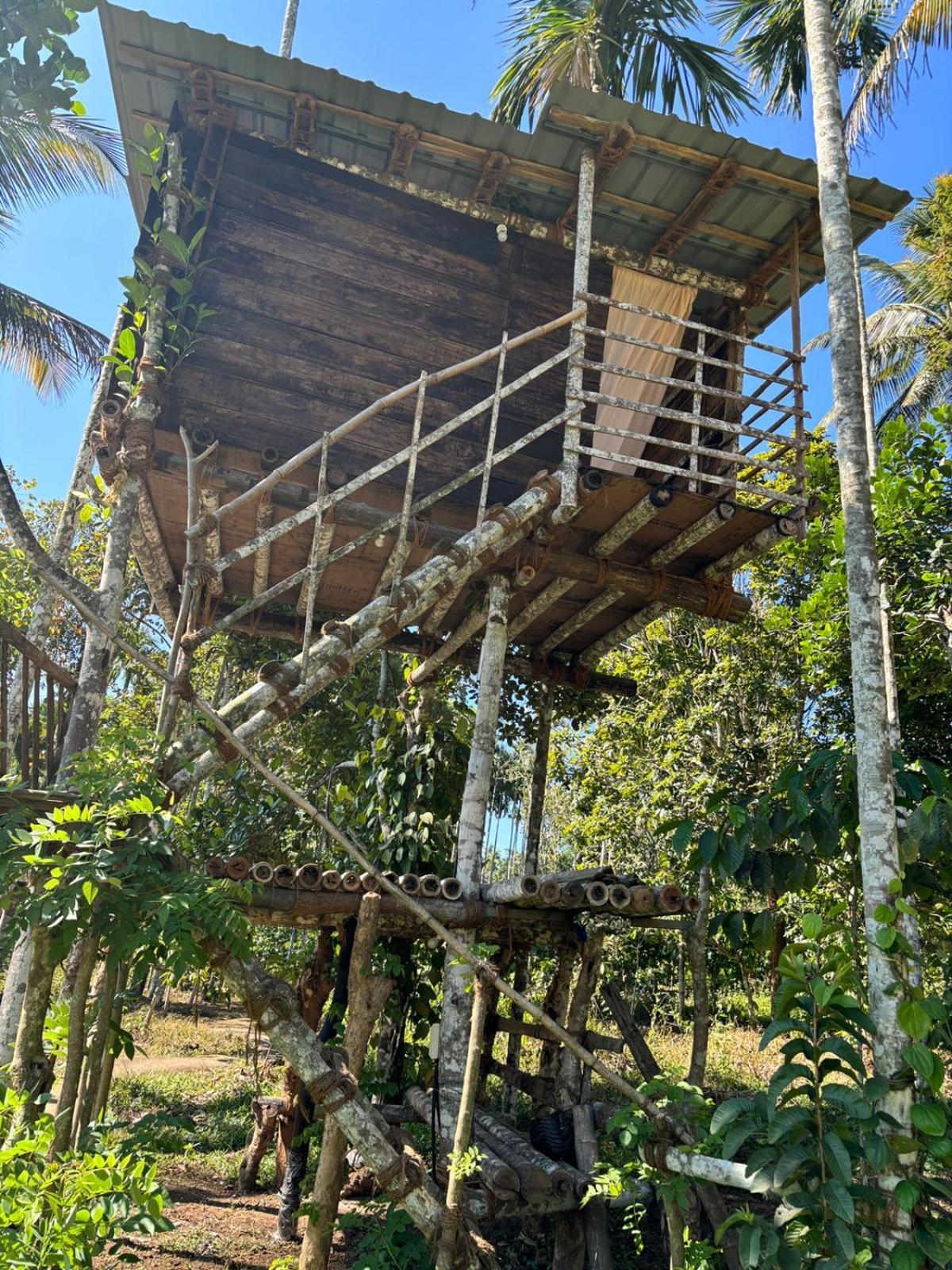 Lotus Jewel Forest Camping 苏丹巴特利 外观 照片