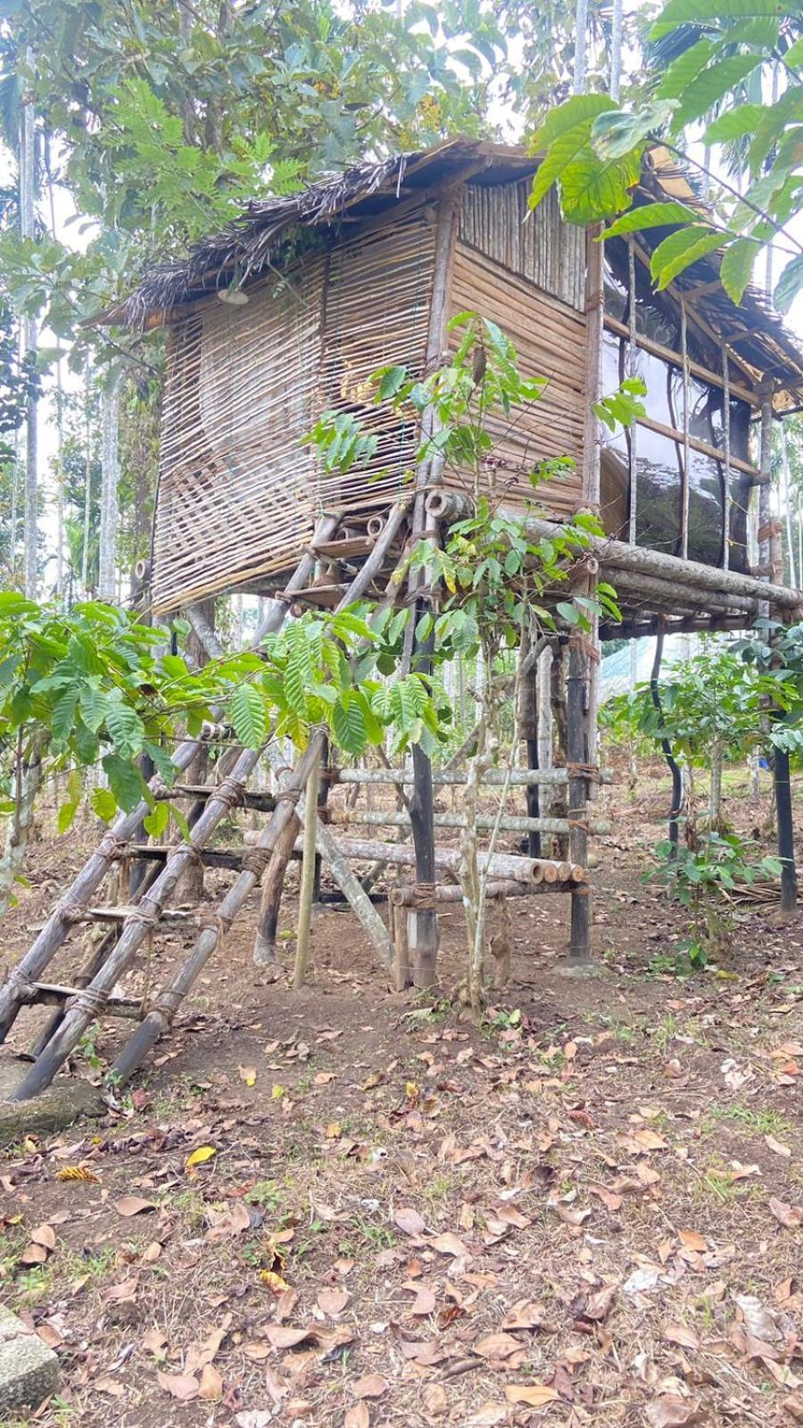 Lotus Jewel Forest Camping 苏丹巴特利 外观 照片