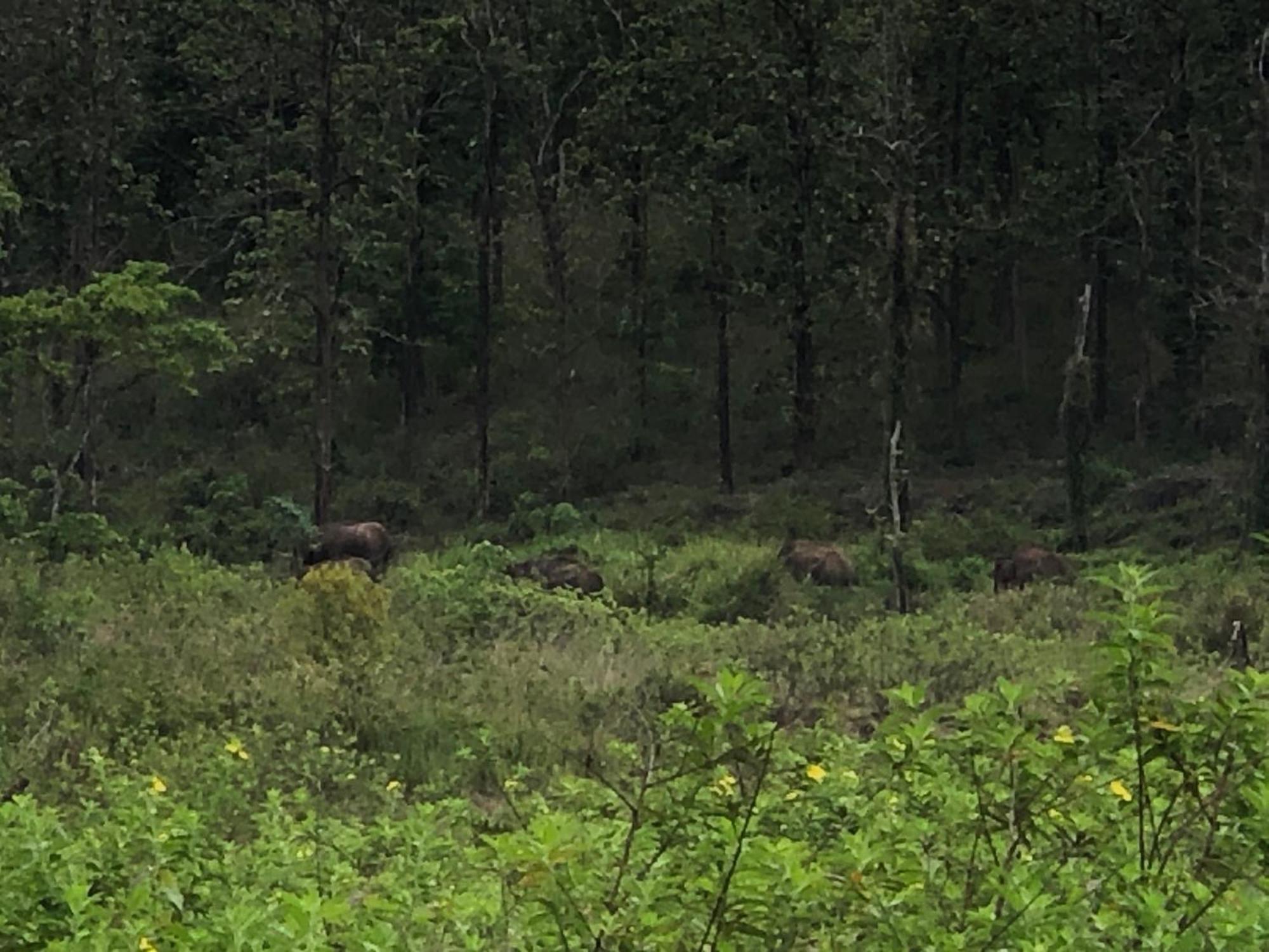 Lotus Jewel Forest Camping 苏丹巴特利 外观 照片